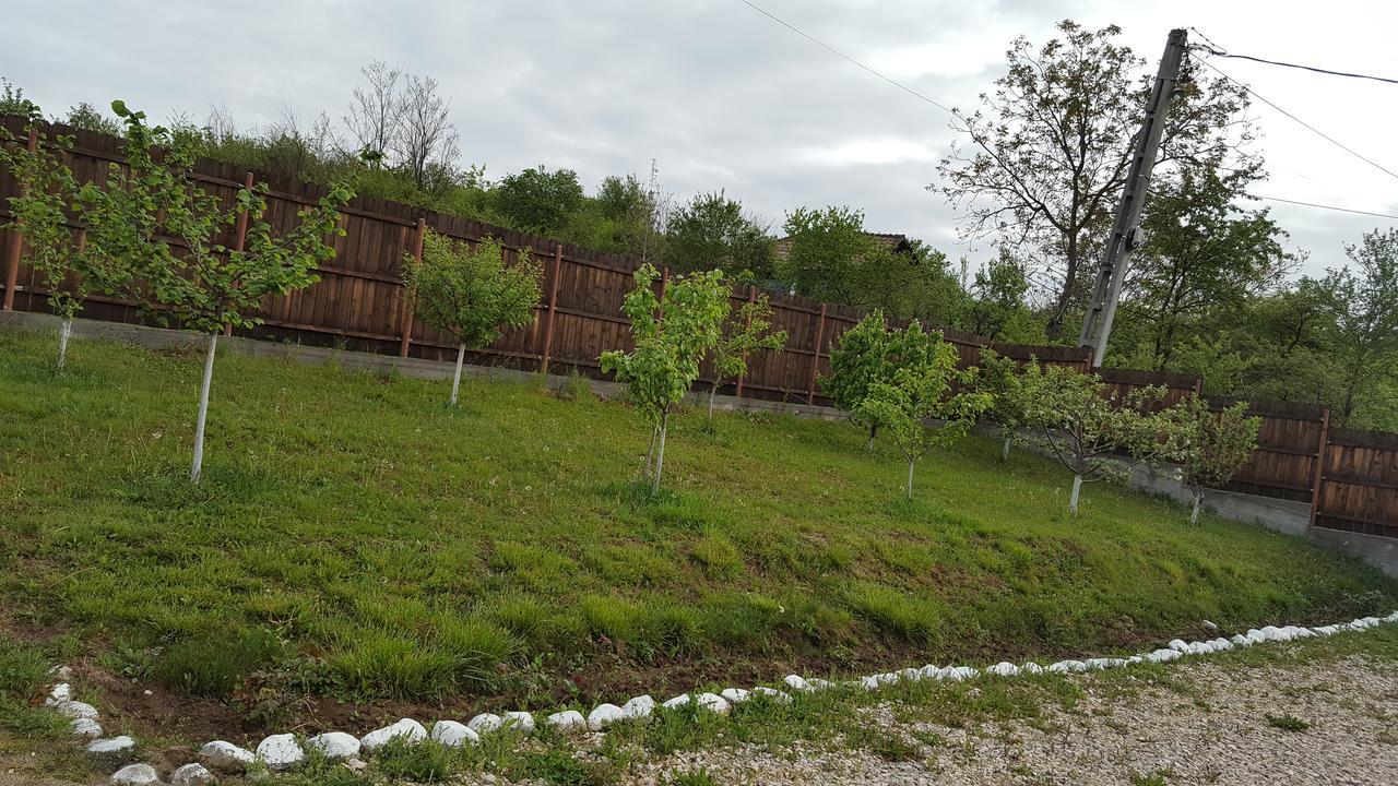 Casa De Vacanta Laurentiu Călimăneşti المظهر الخارجي الصورة